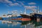 China Ports International Ocean Freight Forwarder Dari China Ke Yordania