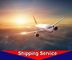 Worldwide Air Freight Forwarder , Door To Door Air Freight Agent Xiamen To Newark Dallas