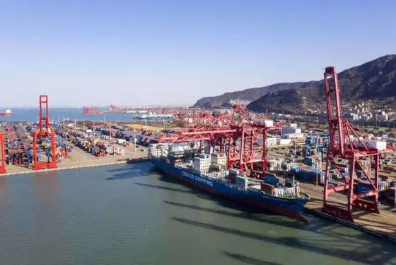 kualitas China Ke Rusia Pengiriman Laut LCL Layanan Cepat Untuk Rantai Pasokan pabrik