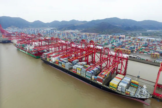 kualitas International Ocean Freight Forwarder China Ke Australia pabrik
