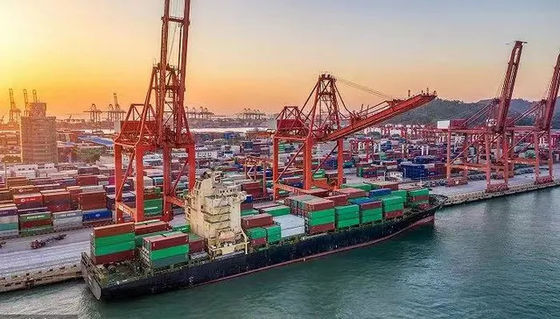 kualitas 20GP International Ocean Freight Forwarder China Ke Laut Hitam pabrik