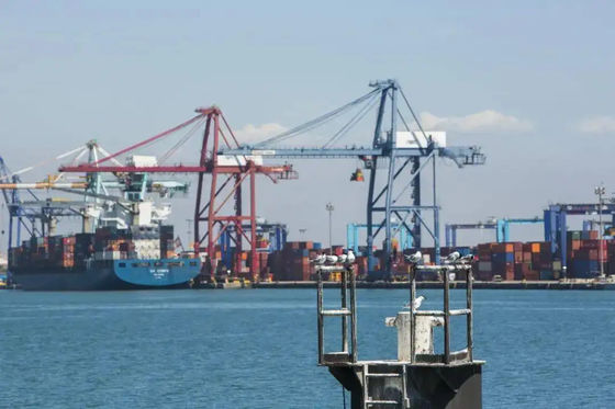 Harga bagus Shanghai Ningbo Tianjin Layanan Distribusi Pergudangan Layanan Penyimpanan Gudang on line