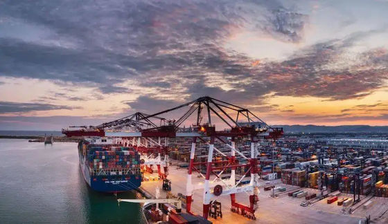 kualitas Sea Freight Forwarder International Ocean Freight Forwarder Dari Cina ke Vietnam pabrik