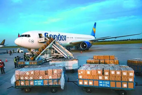 kualitas DG Cargo Air Freight Forwarder China To USA Sepanjang hari pabrik