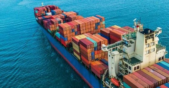 kualitas FCL International Ocean Cargo Forwarder Shenzhen Ke Karachi pabrik